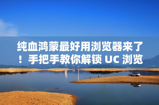 纯血鸿蒙最好用浏览器来了！手把手教你解锁 UC 浏览器（文中有惊喜）