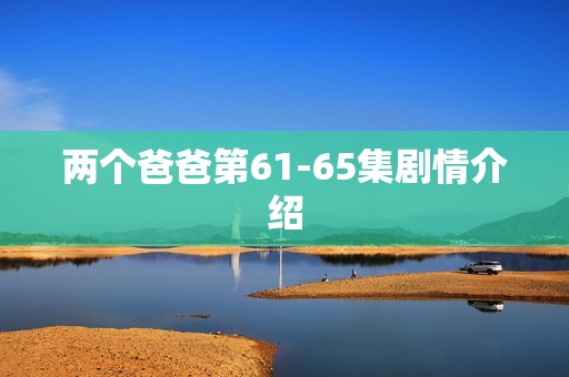 两个爸爸第61-65集剧情介绍