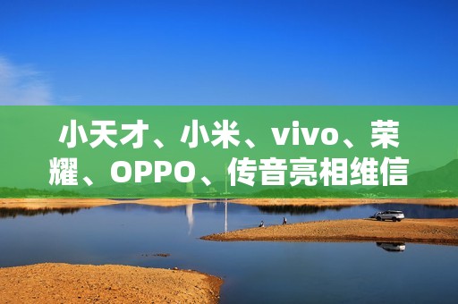 小天才、小米、vivo、荣耀、OPPO、传音亮相维信诺 F1 屏幕发光材料体系发布仪式