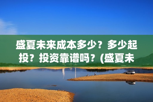 盛夏未来成本多少？多少起投？投资靠谱吗？(盛夏未来亏本)