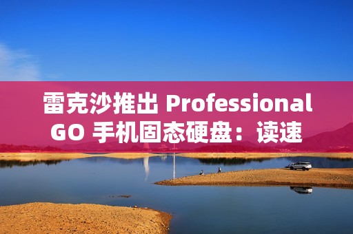 雷克沙推出 Professional GO 手机固态硬盘：读速 1050MB/s，999 元起