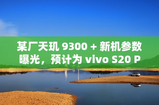 某厂天玑 9300 + 新机参数曝光，预计为 vivo S20 Pro