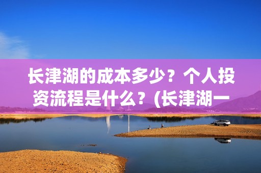 长津湖的成本多少？个人投资流程是什么？(长津湖一共投资多少钱)
