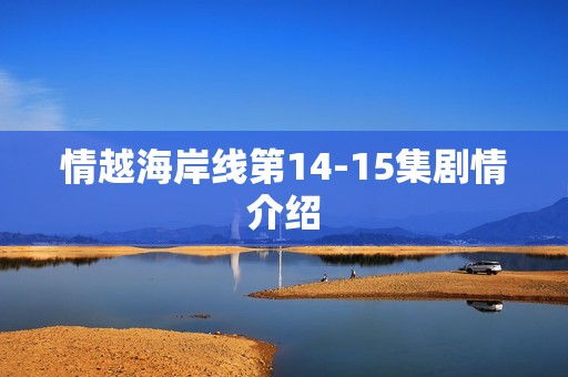 情越海岸线第14-15集剧情介绍
