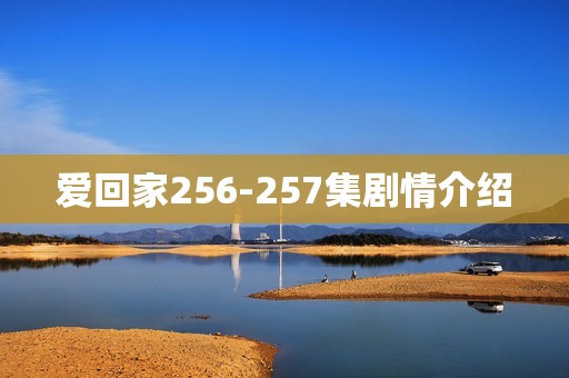 爱回家256-257集剧情介绍
