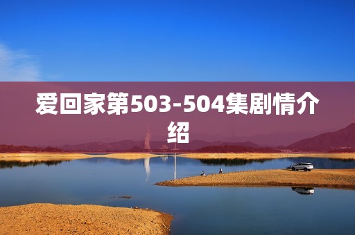 爱回家第503-504集剧情介绍