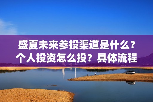 盛夏未来参投渠道是什么？个人投资怎么投？具体流程是什么?(盛夏未来发行公司)