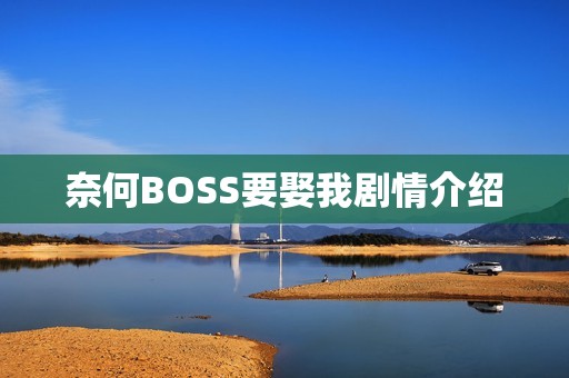 奈何BOSS要娶我剧情介绍