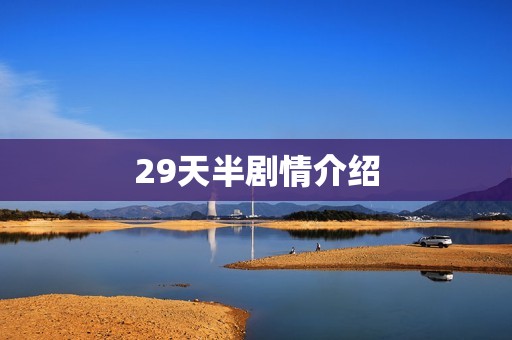 29天半剧情介绍