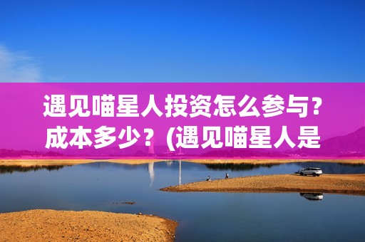 遇见喵星人投资怎么参与？成本多少？(遇见喵星人是哪家公司)