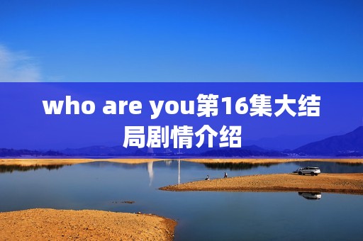 who are you第16集大结局剧情介绍