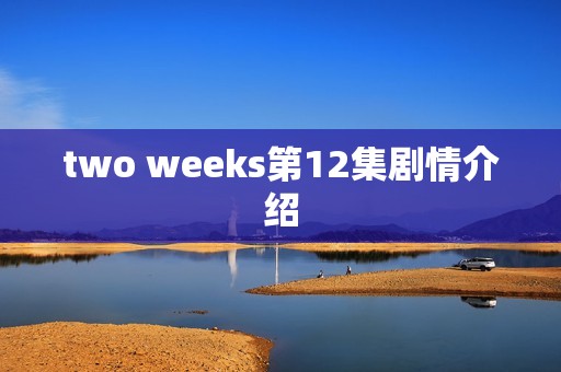 two weeks第12集剧情介绍