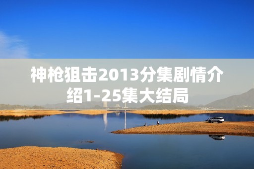神枪狙击2013分集剧情介绍1-25集大结局