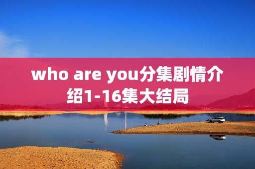 who are you分集剧情介绍1-16集大结局
