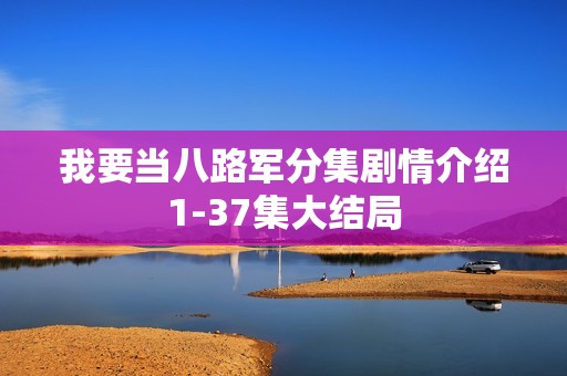 我要当八路军分集剧情介绍1-37集大结局