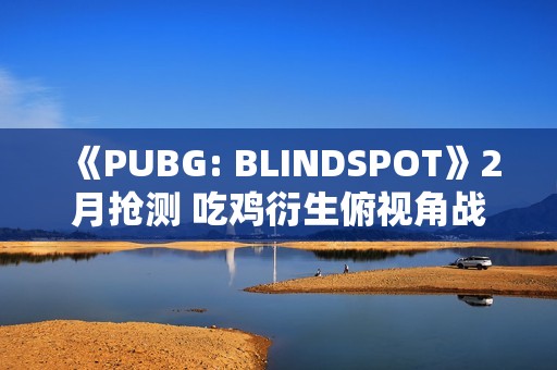 《PUBG: BLINDSPOT》2月抢测 吃鸡衍生俯视角战术射击