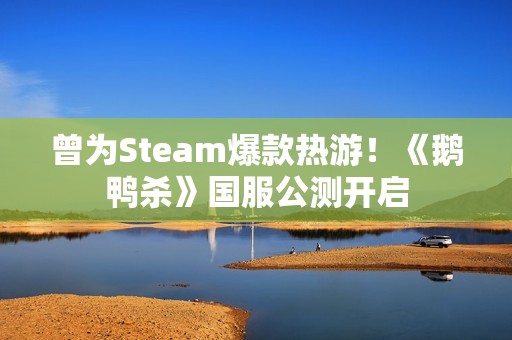 曾为Steam爆款热游！《鹅鸭杀》国服公测开启
