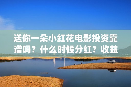 送你一朵小红花电影投资靠谱吗？什么时候分红？收益怎么算(送你一朵小红花电影)