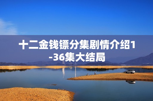 十二金钱镖分集剧情介绍1-36集大结局