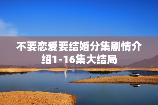 不要恋爱要结婚分集剧情介绍1-16集大结局