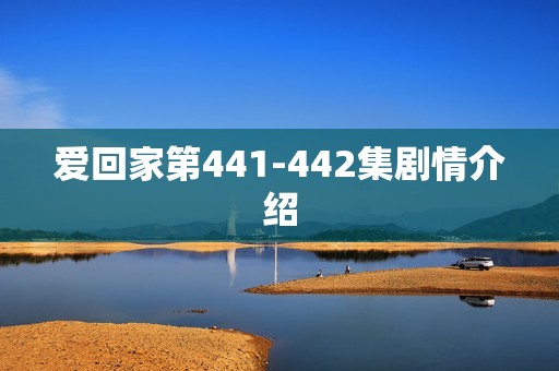 爱回家第441-442集剧情介绍