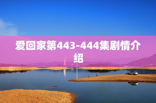 爱回家第443-444集剧情介绍