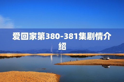 爱回家第380-381集剧情介绍
