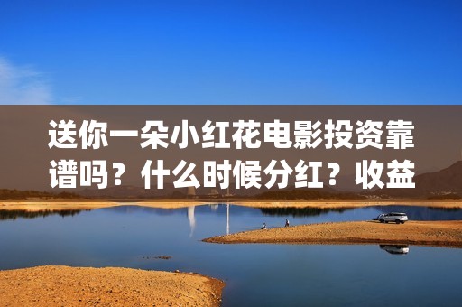 送你一朵小红花电影投资靠谱吗？什么时候分红？收益怎么算(送你一朵小红花 歌曲)