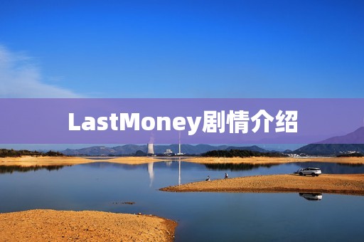 LastMoney剧情介绍