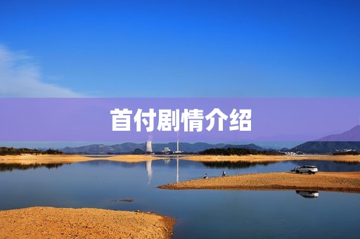 首付剧情介绍