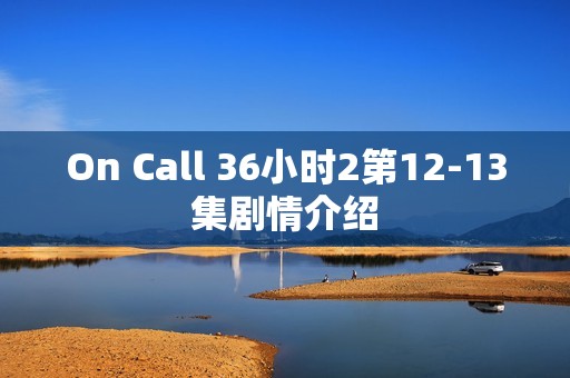 On Call 36小时2第12-13集剧情介绍