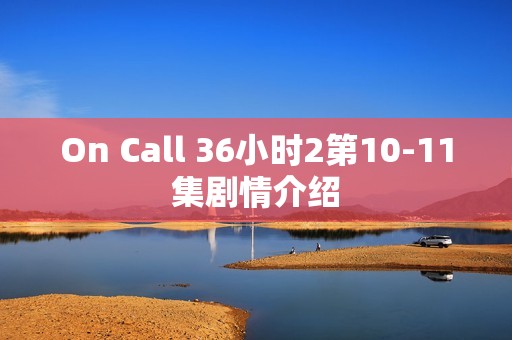On Call 36小时2第10-11集剧情介绍