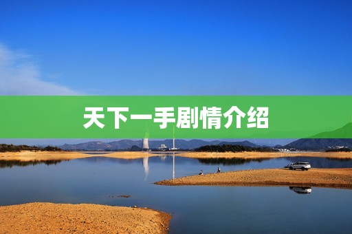 天下一手剧情介绍