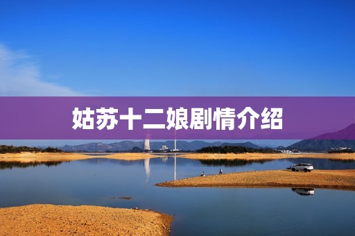 姑苏十二娘剧情介绍