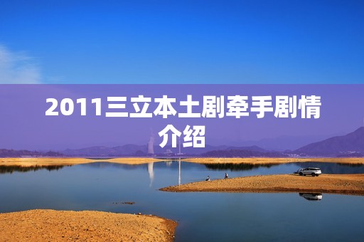 2011三立本土剧牵手剧情介绍