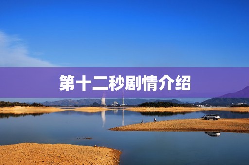 第十二秒剧情介绍