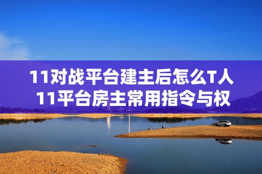 11对战平台建主后怎么T人 11平台房主常用指令与权限教学【房主必备】