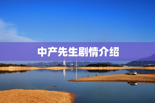 中产先生剧情介绍