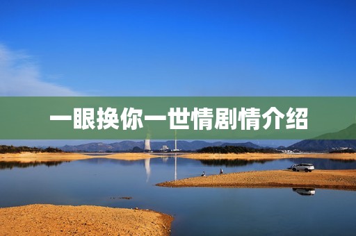 一眼换你一世情剧情介绍
