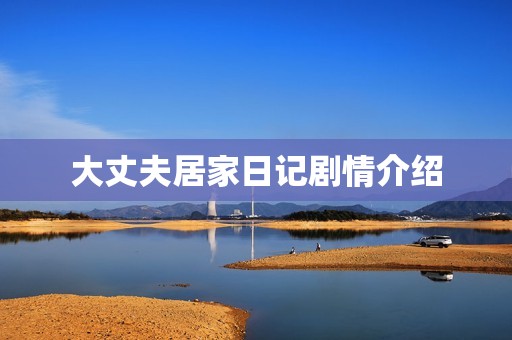 大丈夫居家日记剧情介绍