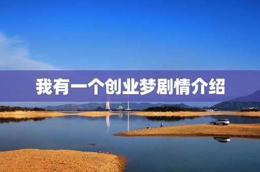 我有一个创业梦剧情介绍