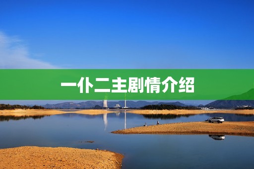 一仆二主剧情介绍