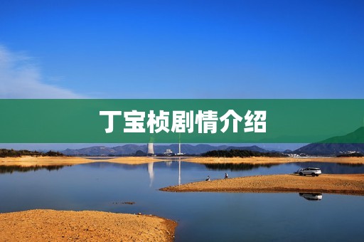 丁宝桢剧情介绍