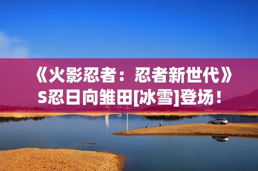 《火影忍者：忍者新世代》S忍日向雏田[冰雪]登场！