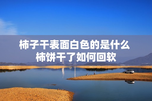 柿子干表面白色的是什么 柿饼干了如何回软