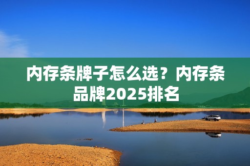 内存条牌子怎么选？内存条品牌2025排名