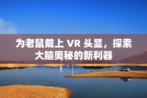 为老鼠戴上 VR 头显，探索大脑奥秘的新利器