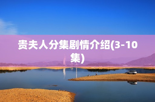 贵夫人分集剧情介绍(3-10集)