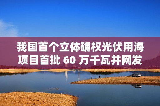 我国首个立体确权光伏用海项目首批 60 万千瓦并网发电