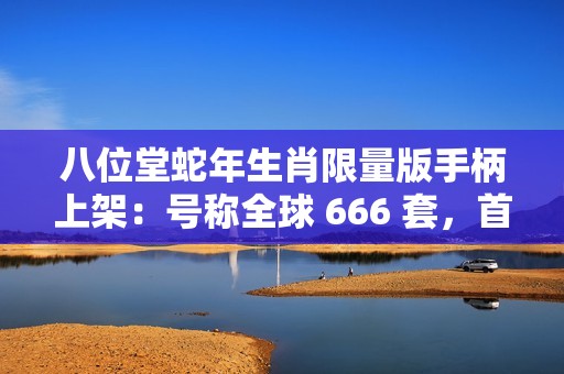 八位堂蛇年生肖限量版手柄上架：号称全球 666 套，首发价 198 元